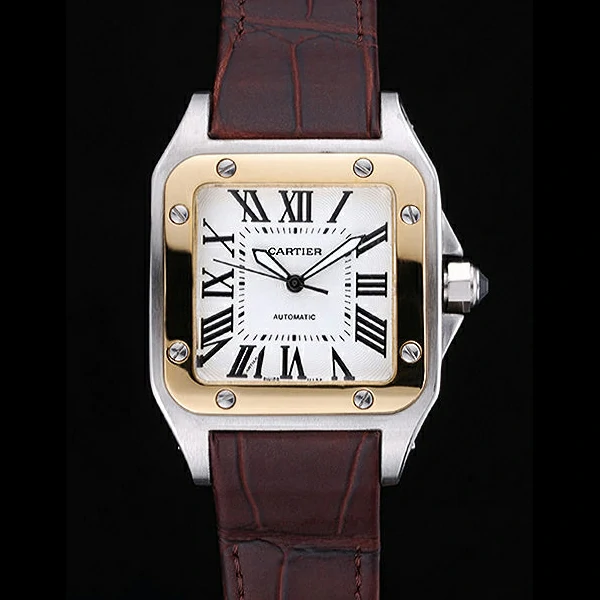 Cartier Santos Automatic Stainless Steel & Gold Case Brown Leather Strap new60141