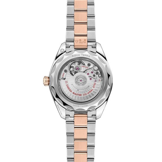 Omega Replica Watch Seamaster Aqua Terra 150M, 220.20.30.20.63.001.