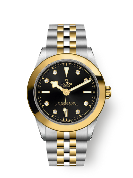 Tudor Replica Watch Black Bay 39 S &G, 316L Stainless Steel and 18k Yellow Gold, M79663-0006