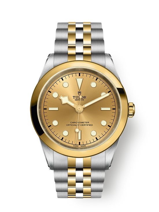 Tudor Replica Watch Black Bay 41 S &G, 316L Stainless Steel and 18k Yellow Gold, M79683-0005